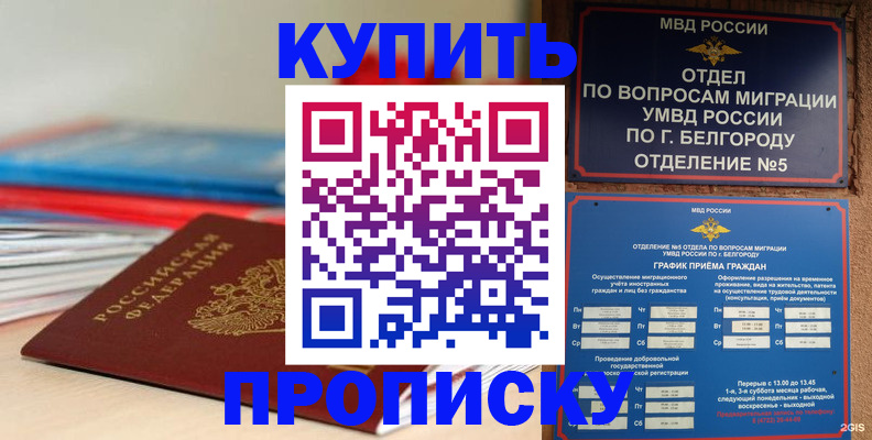 прописка для работы в Реутове